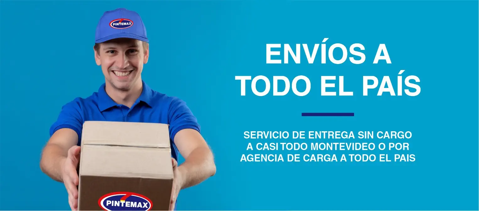 envios a domicilio pintemax
