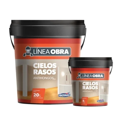Combo Cielo Raso Anti hongos L�nea Obra Pintemax 20lts + 4lts