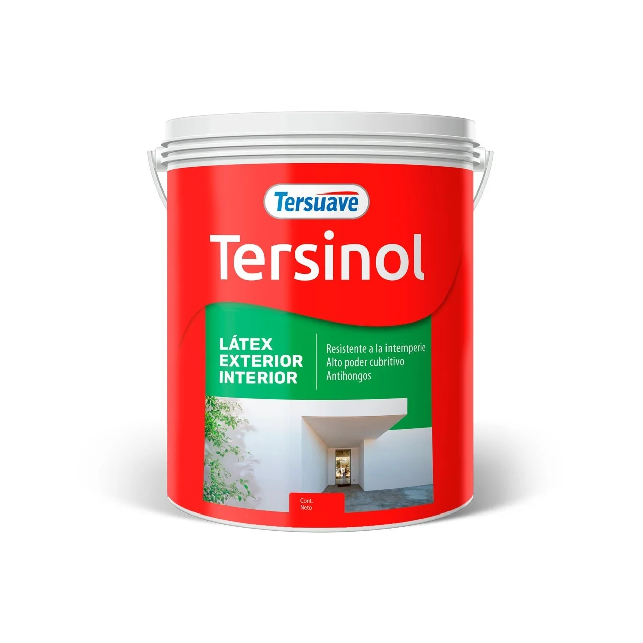 extra_image_preview_TERSINOL-latex-Ext-Int-4L_poster.jpg