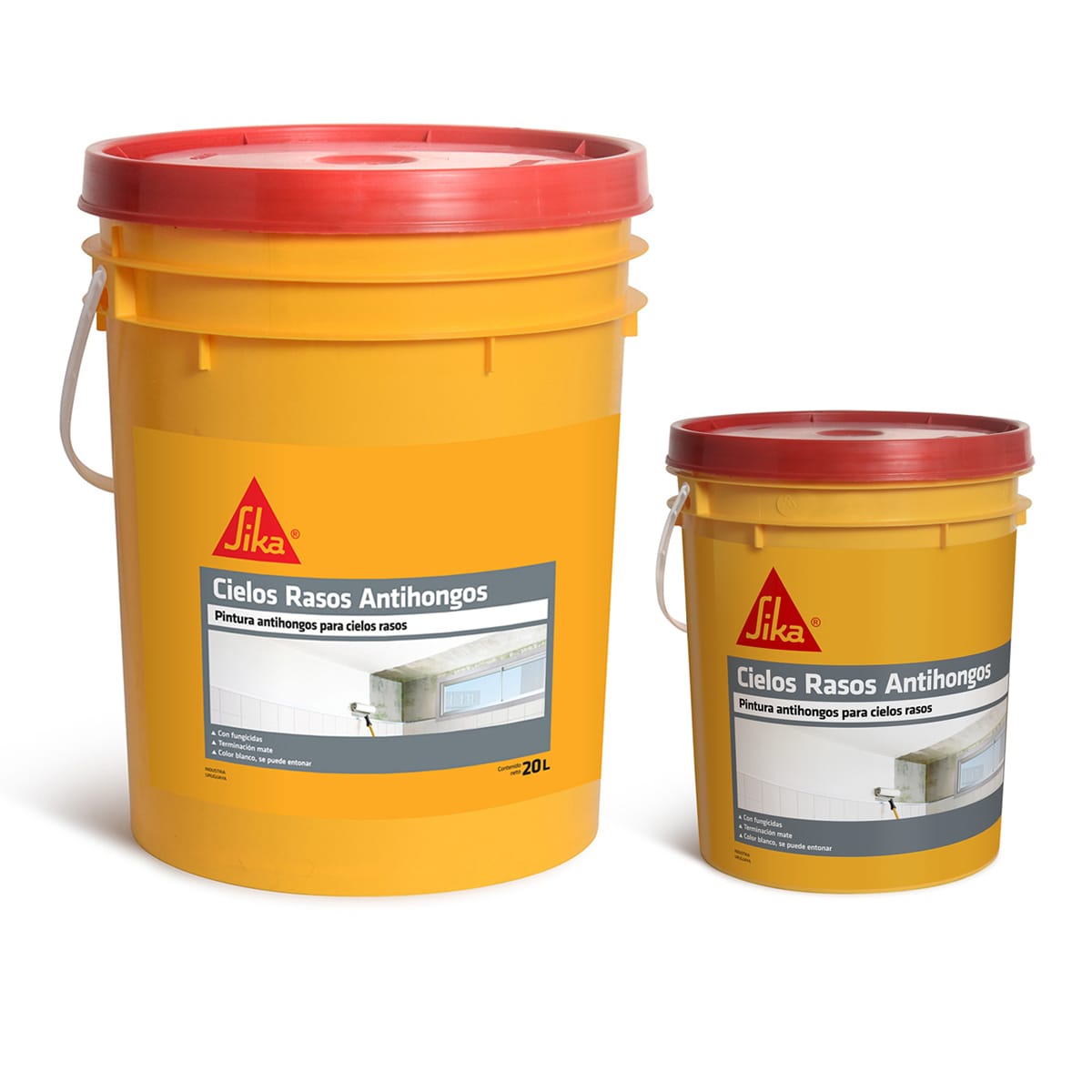 Combo Pintura para Cielo Raso Sika 20+4 lts