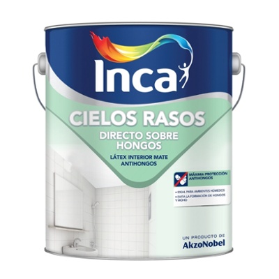 Cielos Rasos Directo Sobre Hongo Inca 20 lts