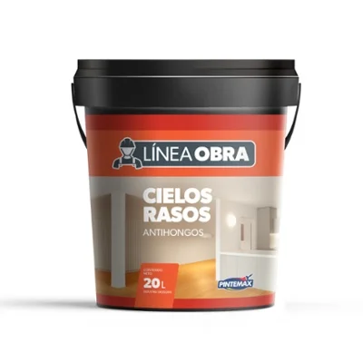 Cielo Raso Antihongos L�nea Obra Pintemax 20lts