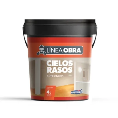 Cielo Raso Antihongos L�nea Obra Pintemax 4Lts.