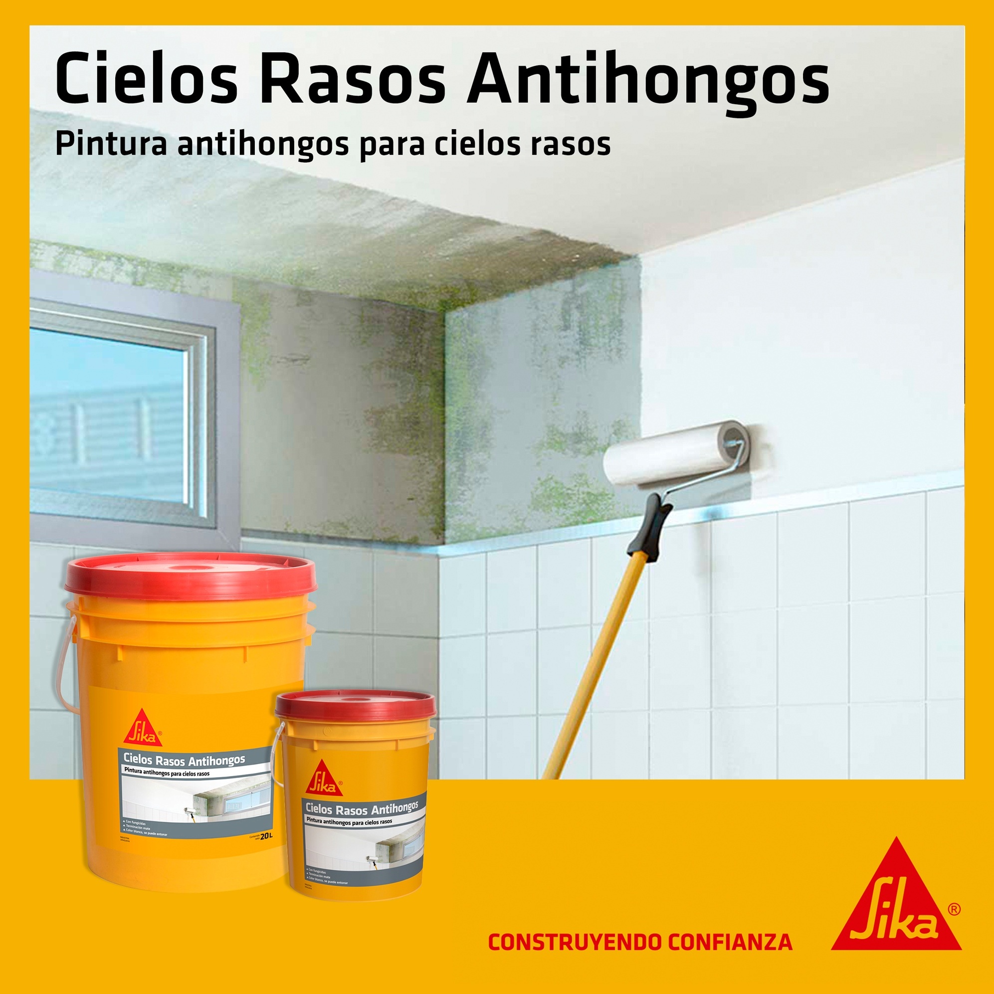 extra_image_preview_Aplicacin-Sika-Cielo-Rasos-Antihongos_poster.jpg