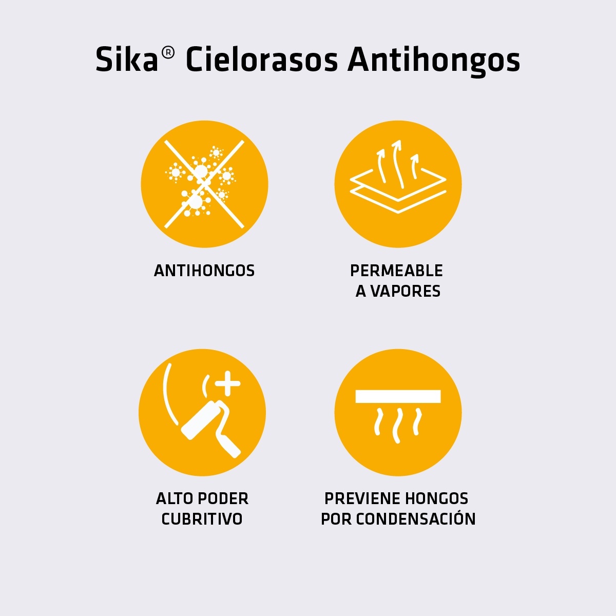 extra_image_preview_SikaAntihongos-Caracteristicas_poster.jpg