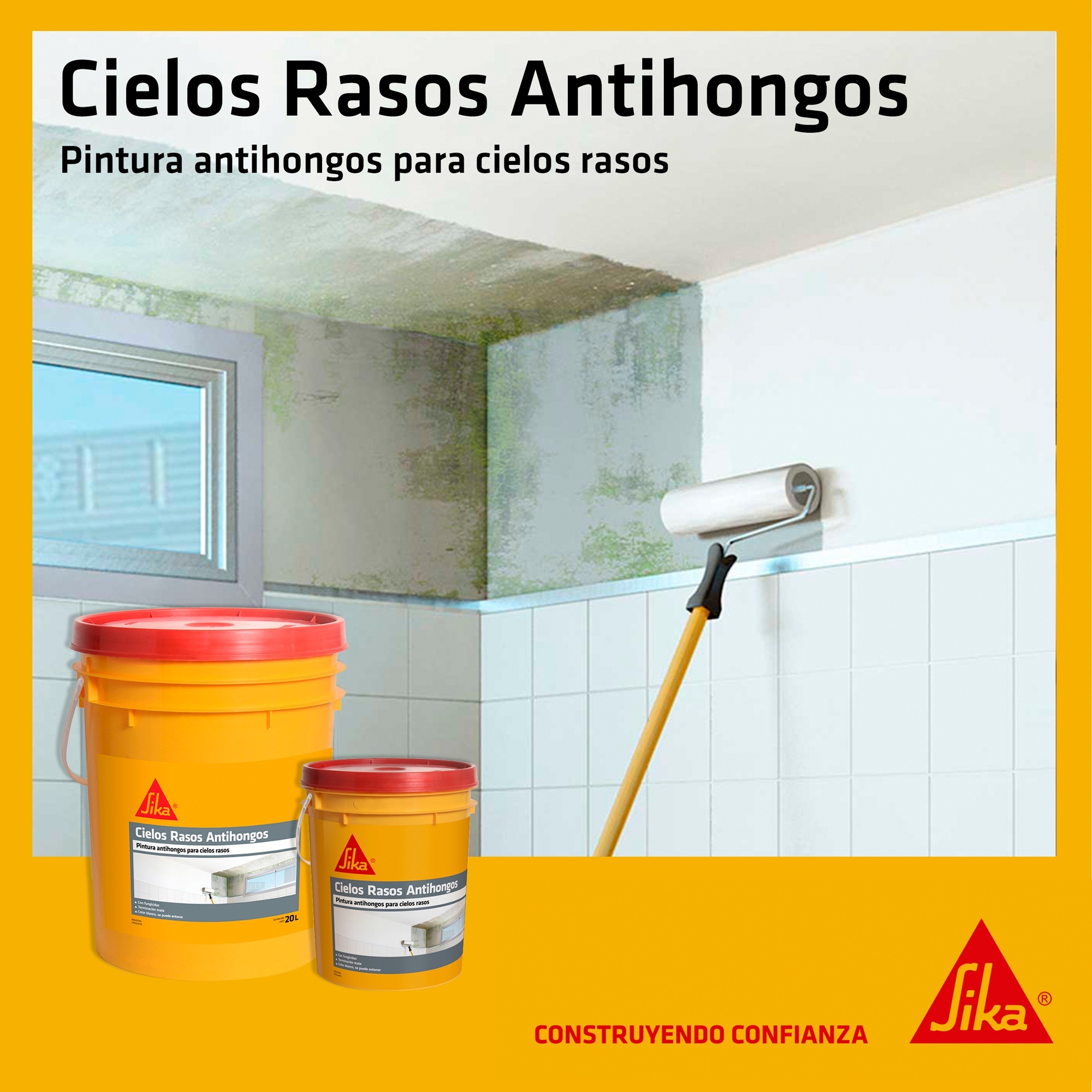 extra_image_preview_Aplicacin-Sika-Cielo-Rasos-Antihongos_poster.jpg