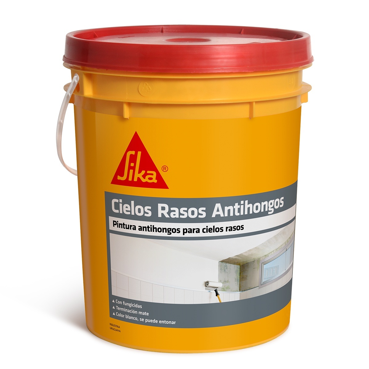 extra_image_preview_Sika-Cielos-Rasos-Antihongos_4kg_poster.jpg