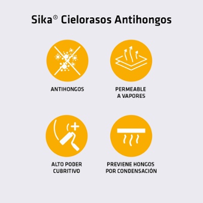 thumbnails_SikaAntihongos-Caracteristicas_icon.jpg