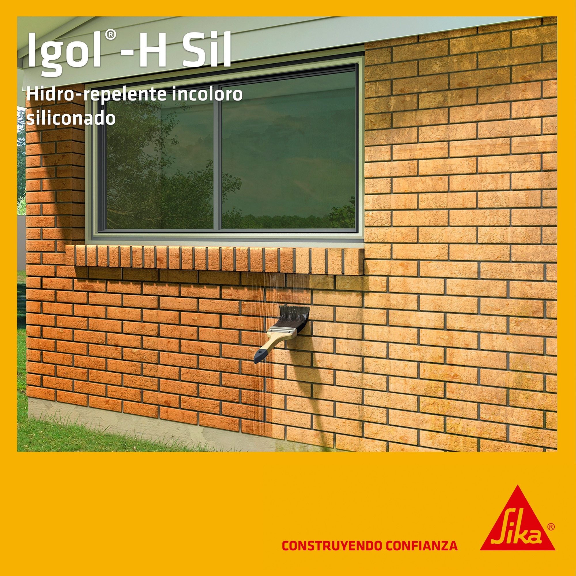 extra_image_preview_Aplicacion-Igol-H-Sil-A-1x1_poster.jpg